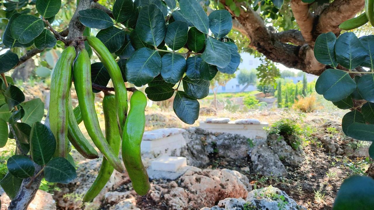 I Due Carrubi Villa Ostuni Luaran gambar